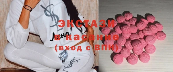 стаф Пересвет