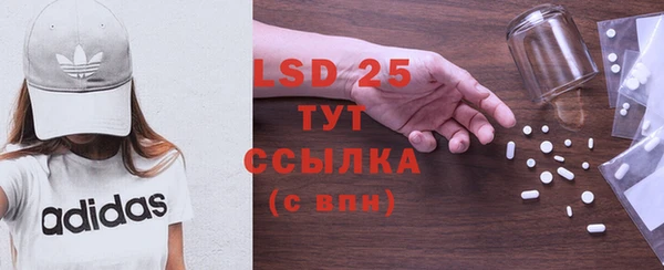 стаф Пересвет
