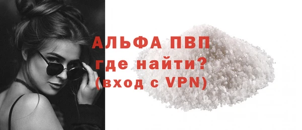стаф Пересвет