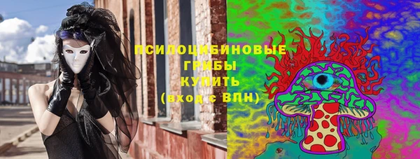 стаф Пересвет