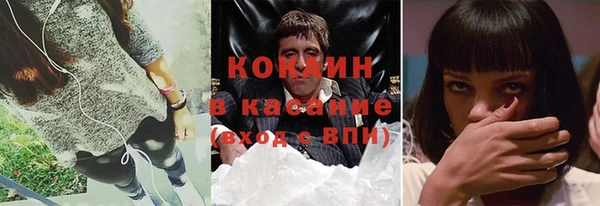 стаф Пересвет