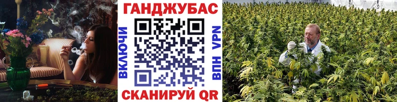 где найти наркотики  Кодинск  Шишки марихуана конопля 